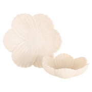 Schaal Xena white L