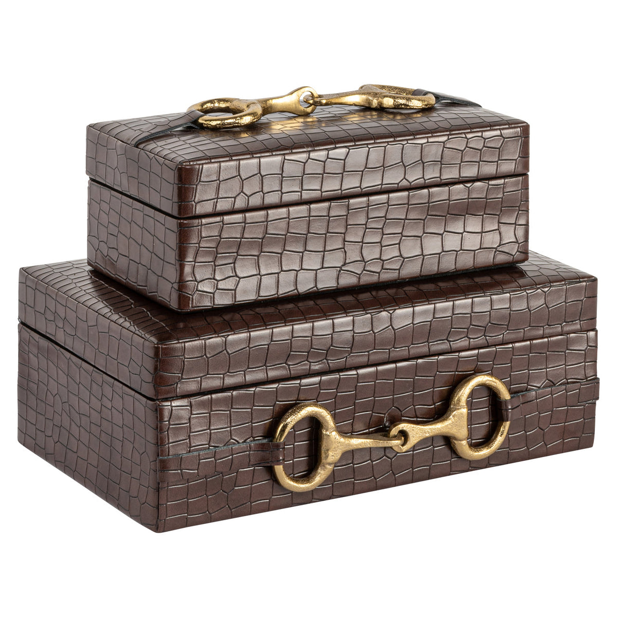 Opbergdoos Rex dark brown small
