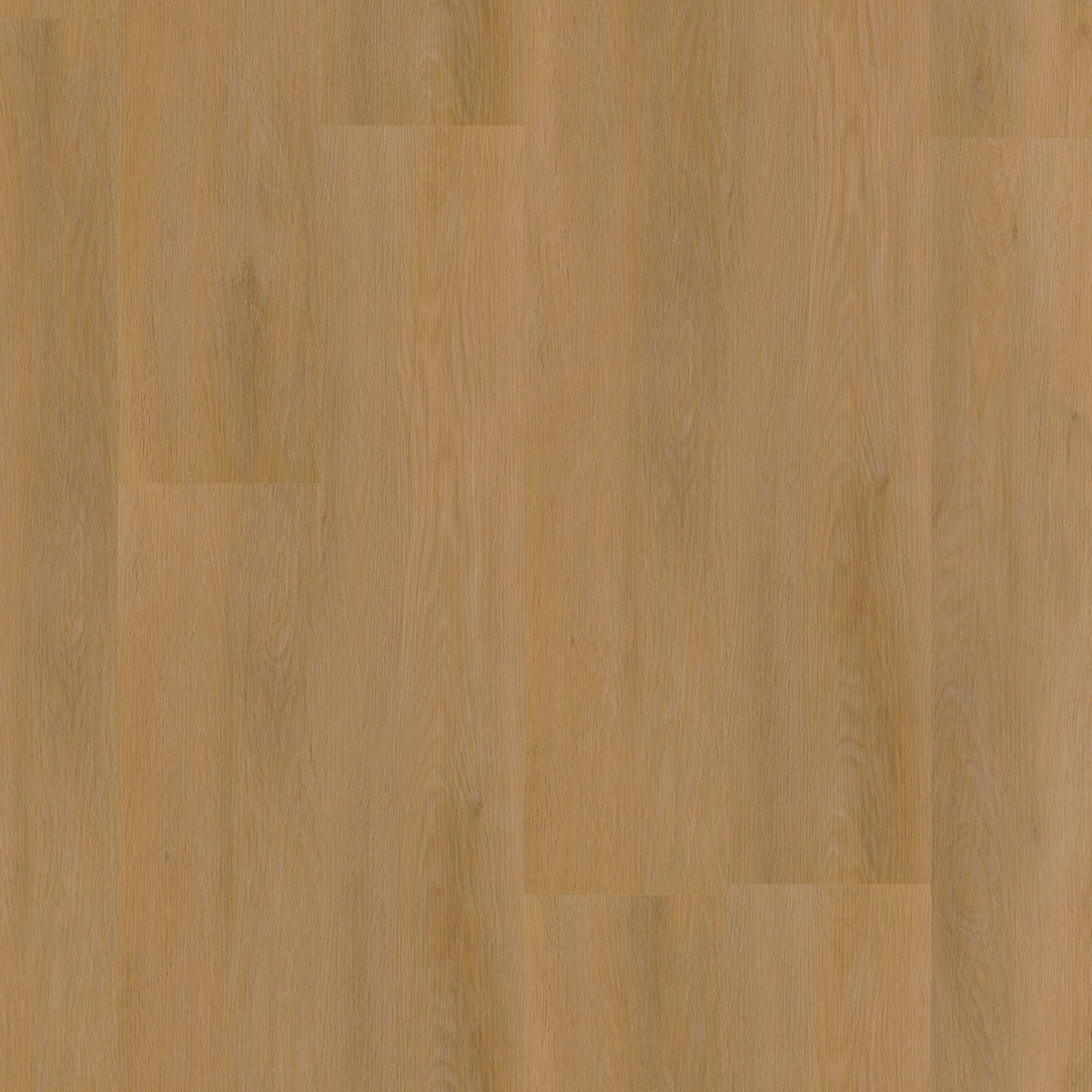 Sentima – PVC Dryback