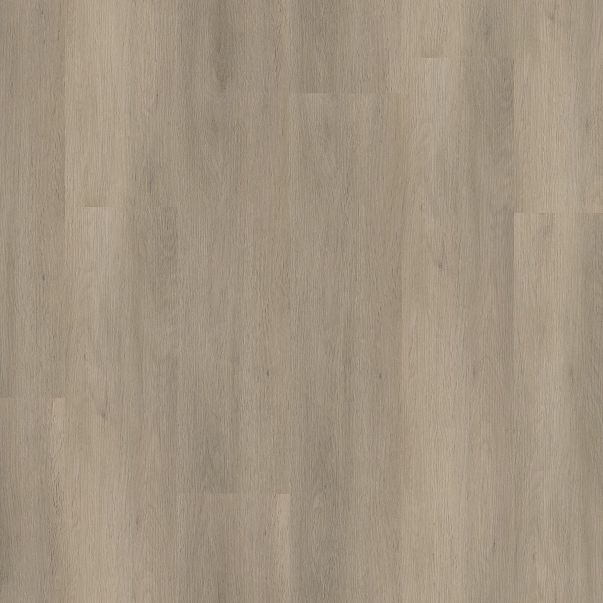 Sentima – PVC Dryback