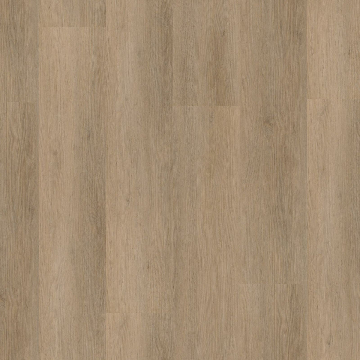 Sentima – PVC Dryback