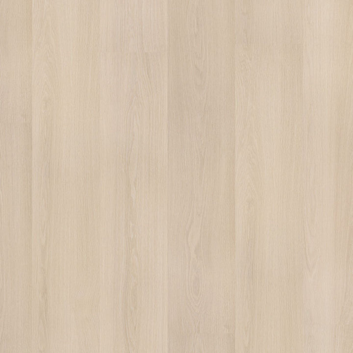 Soleno – PVC Dryback