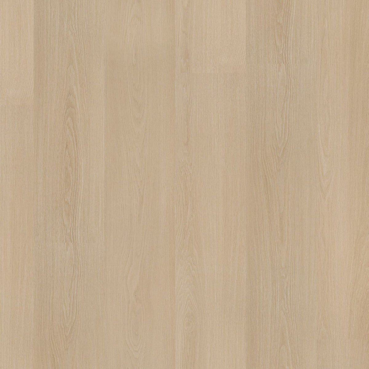 Soleno – PVC Dryback