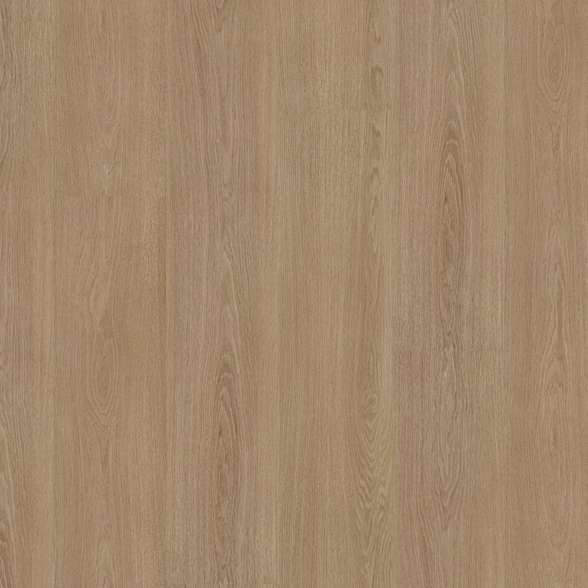 Soleno – PVC Dryback