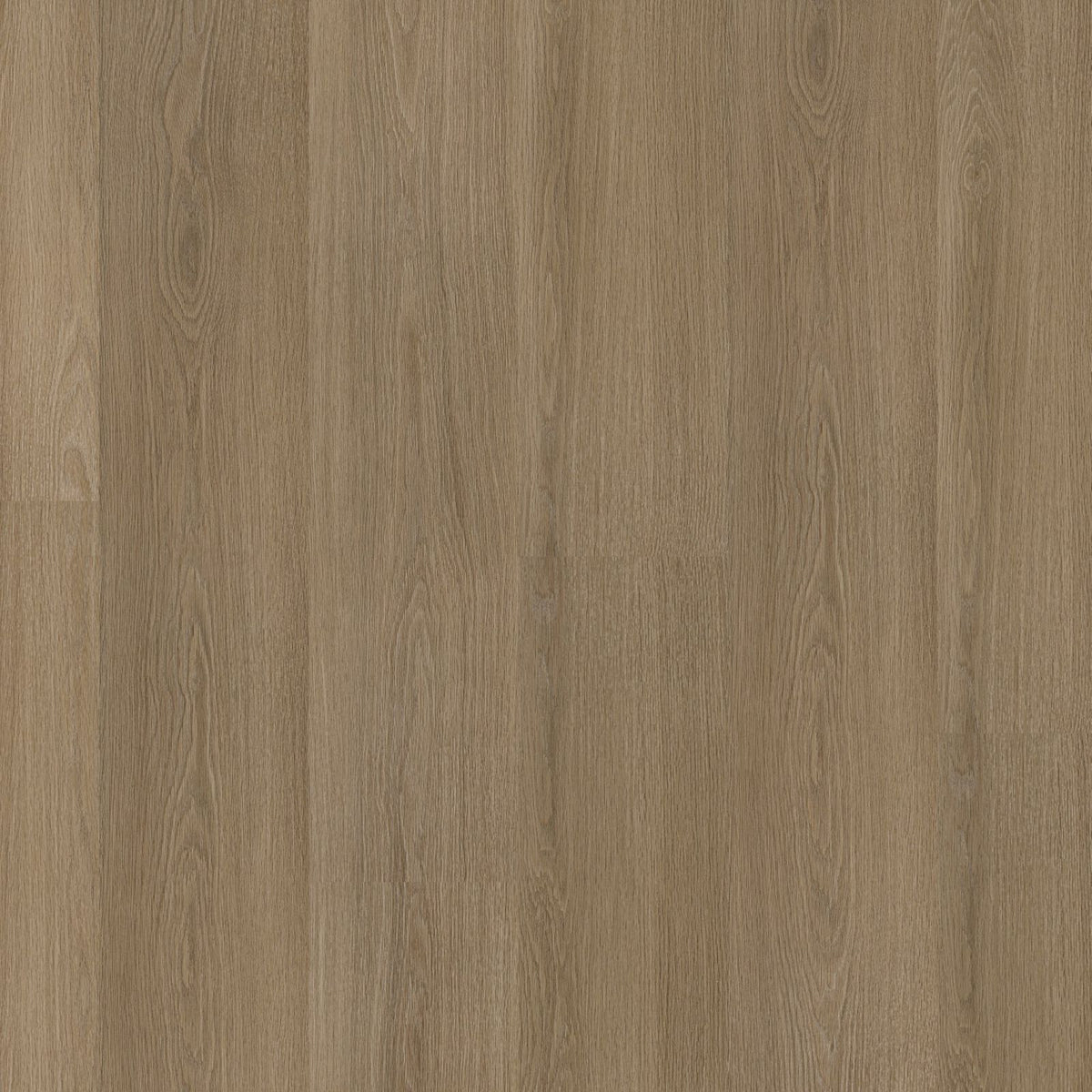Soleno – PVC Dryback