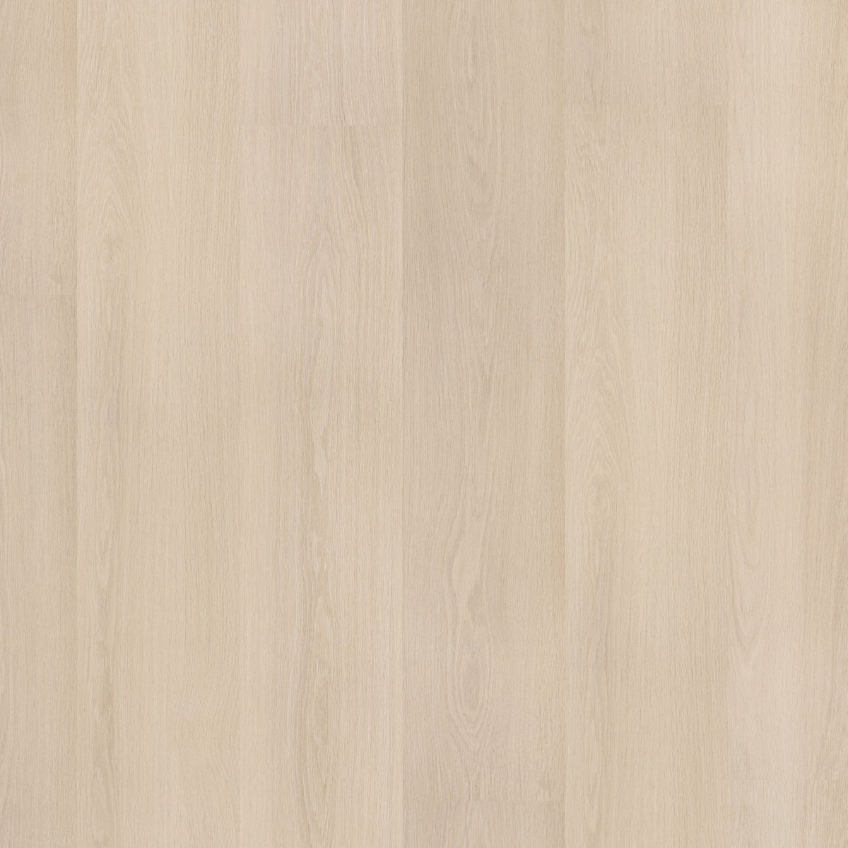 Soleno – PVC Click