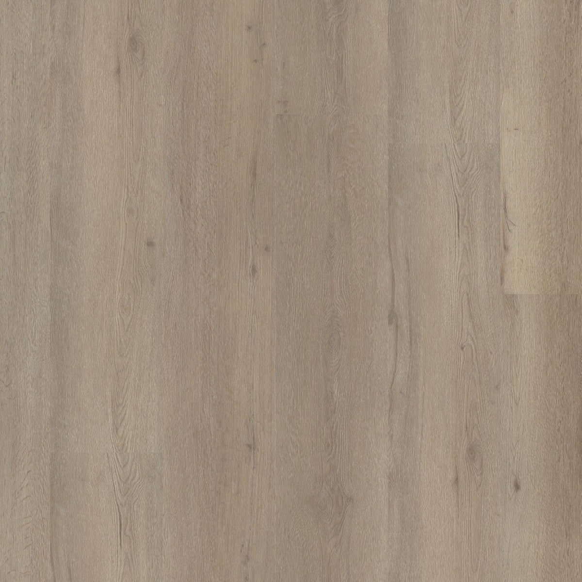 Vivero – PVC Dryback