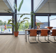Vivero – PVC Dryback