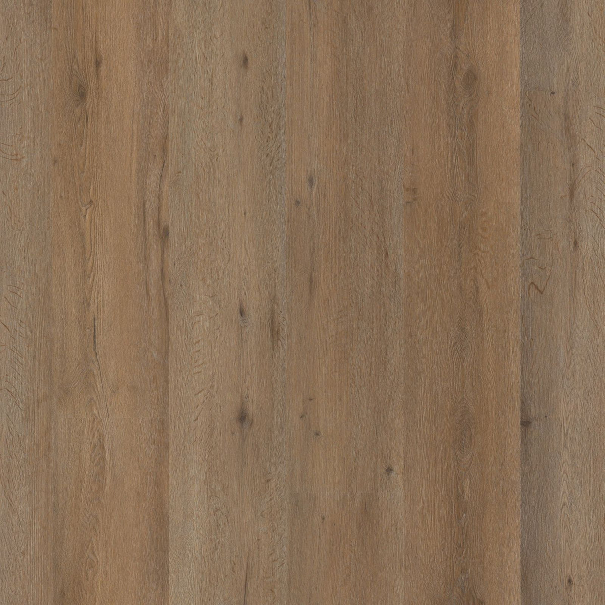 Vivero – PVC Dryback