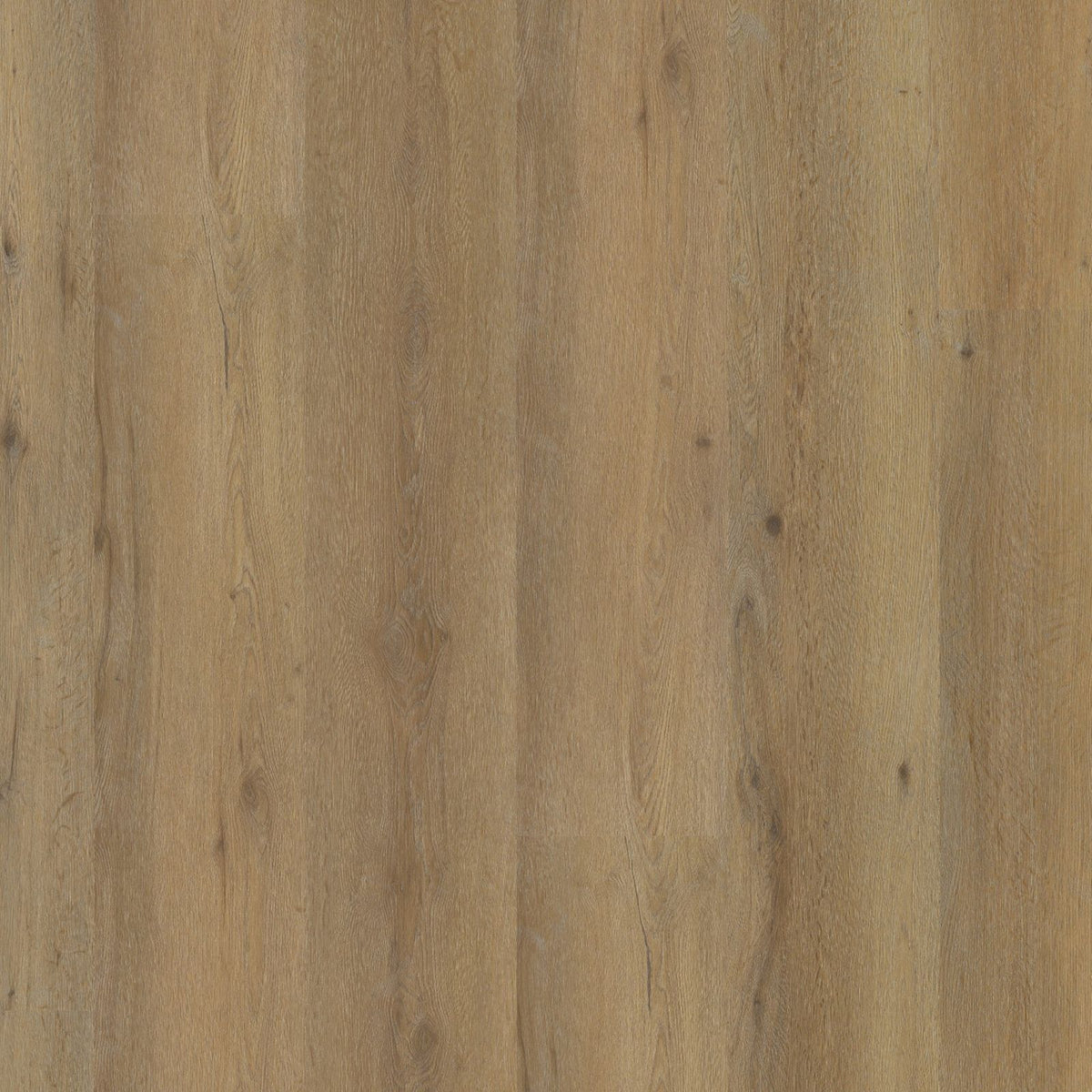 Vivero – PVC Dryback