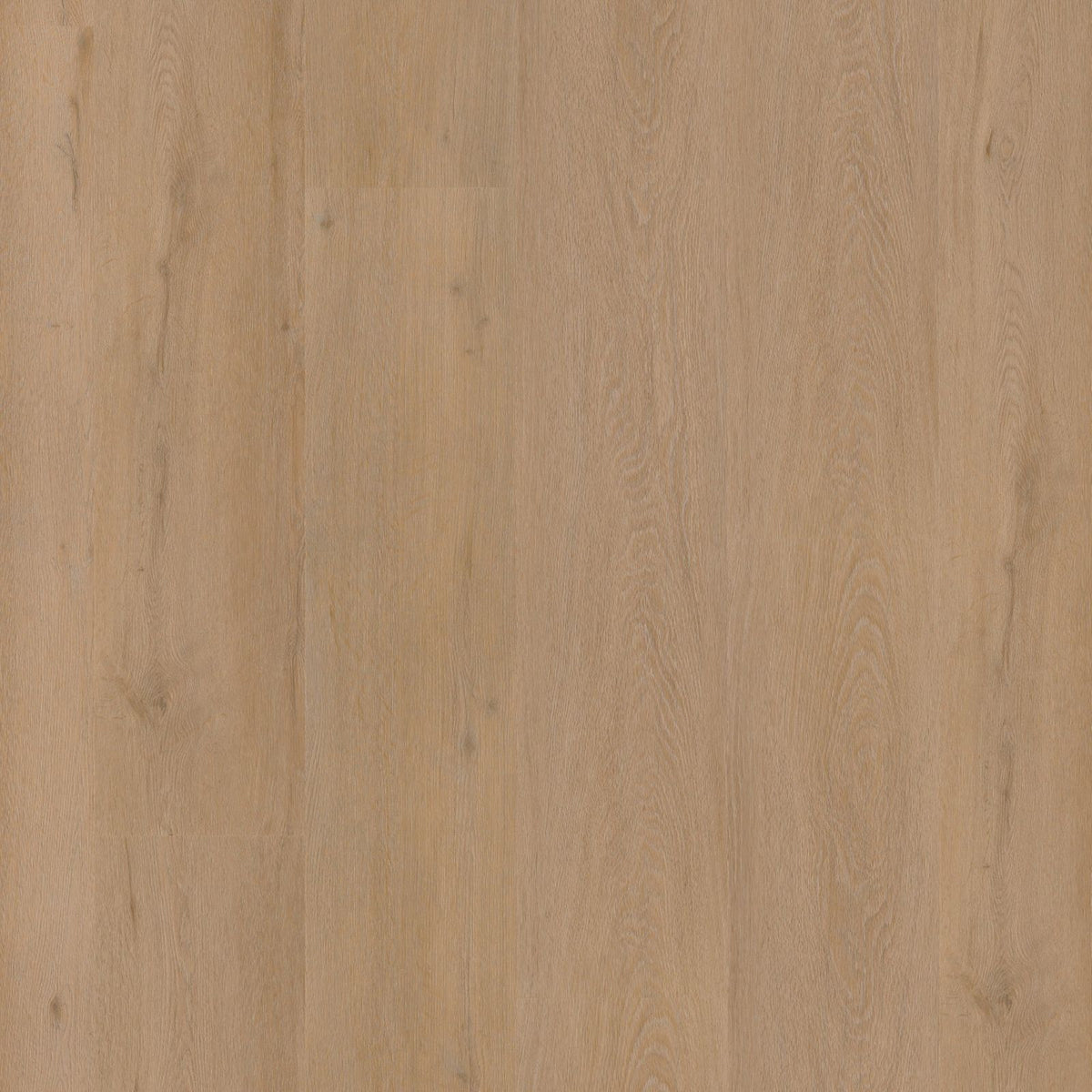 Vivero – PVC Click