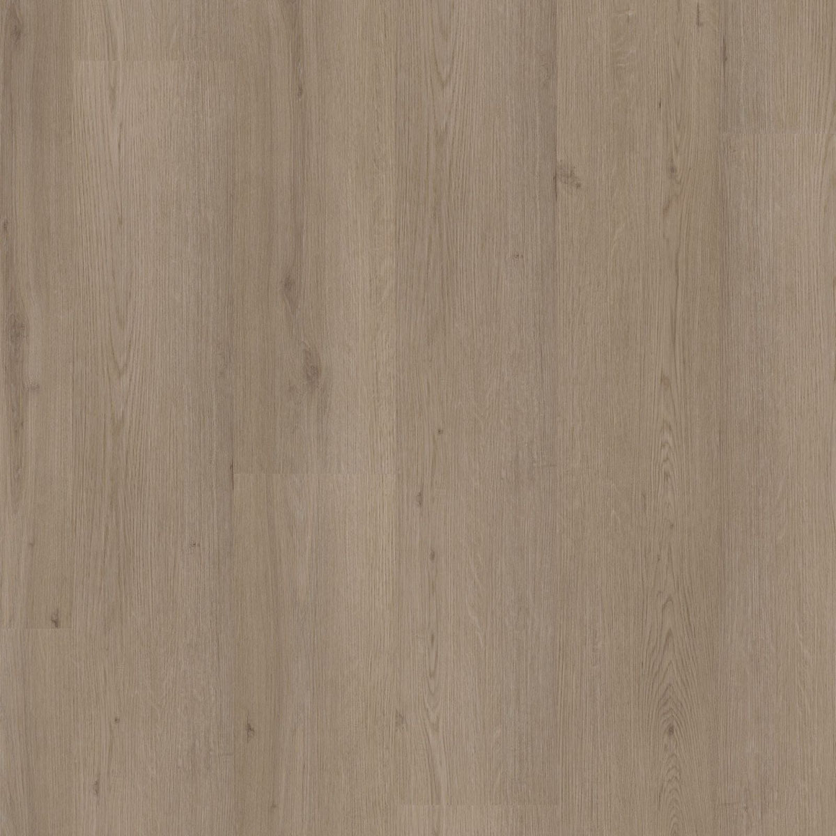Venera – PVC Dryback