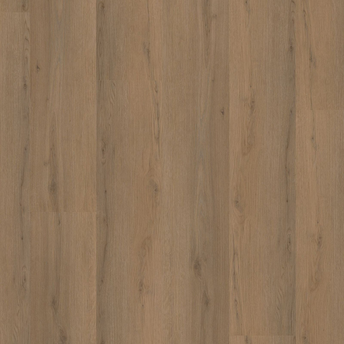 Venera – PVC Dryback