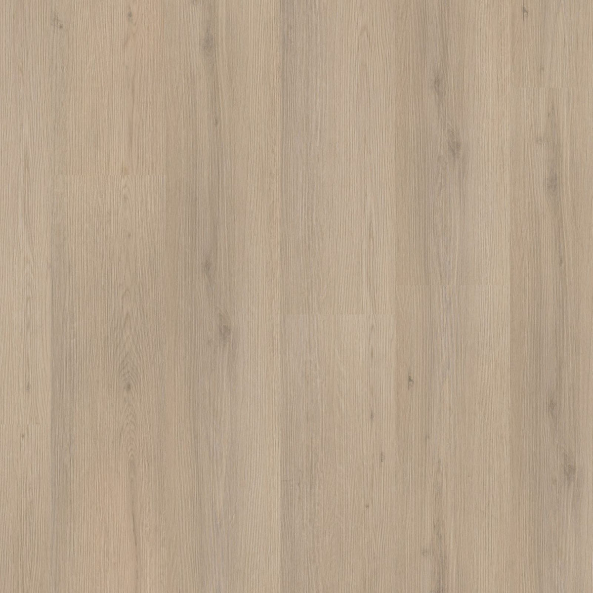 Venera – PVC Dryback