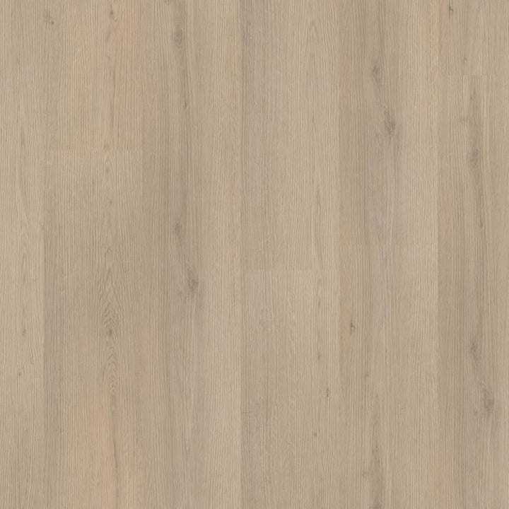 Venera – PVC Dryback
