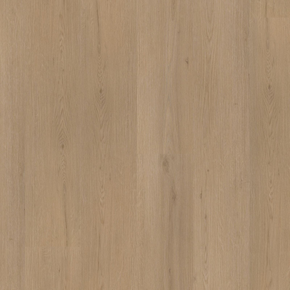 Venera – PVC Dryback