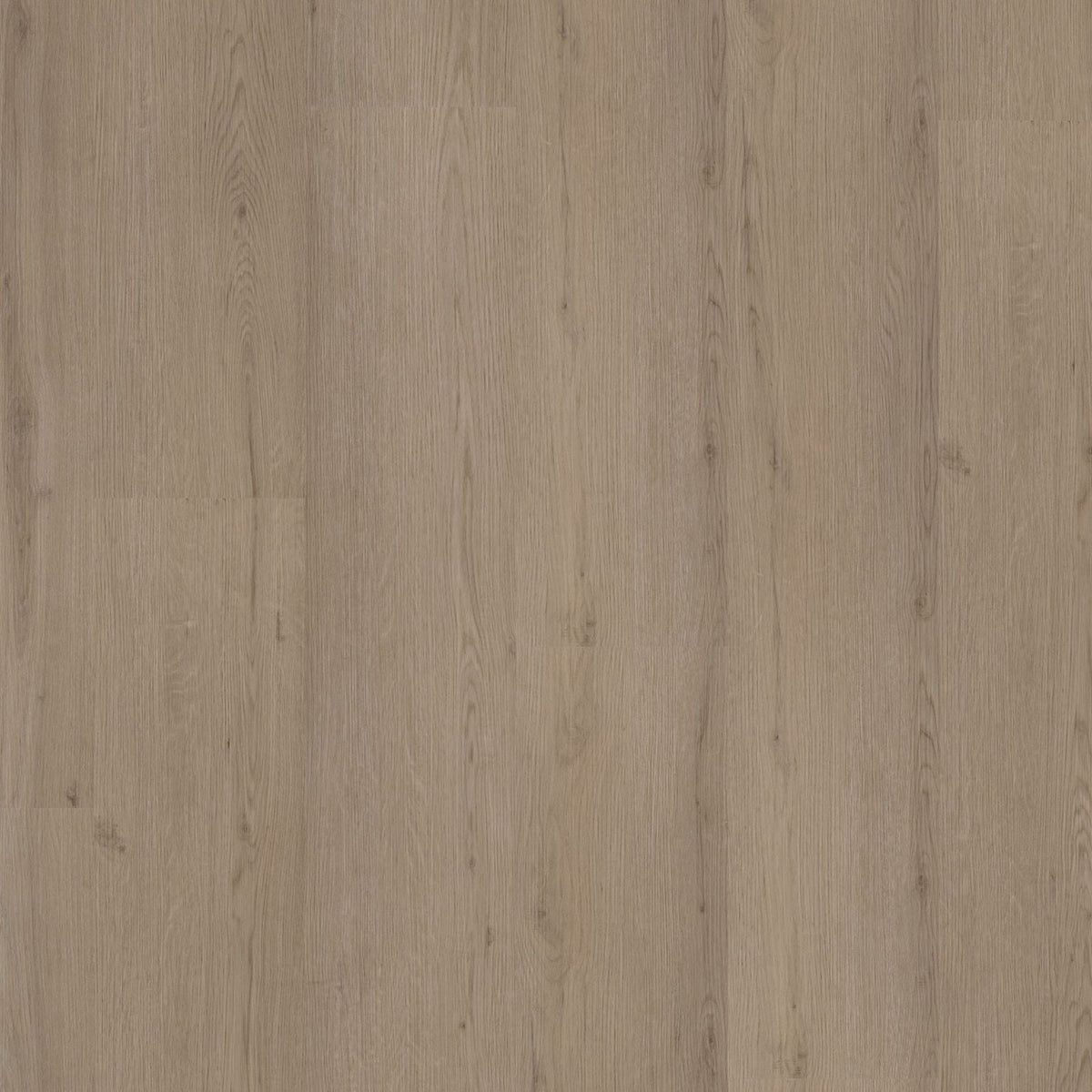 Venera – PVC Click