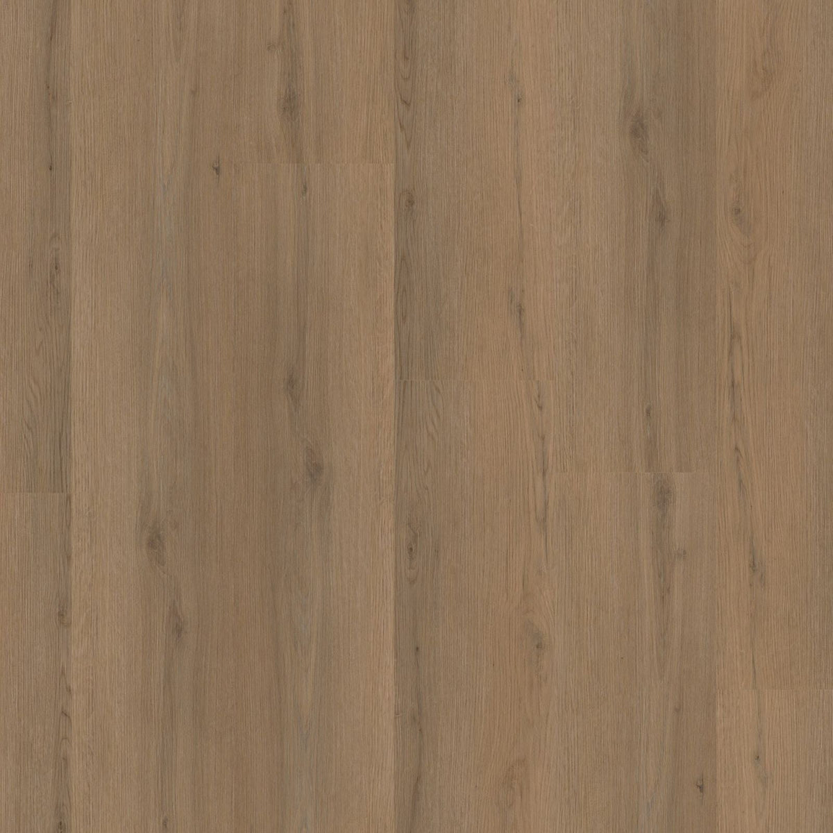 Venera – PVC Click