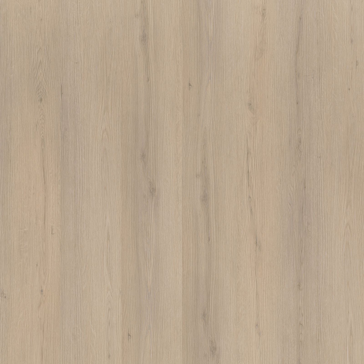 Venera – PVC Click