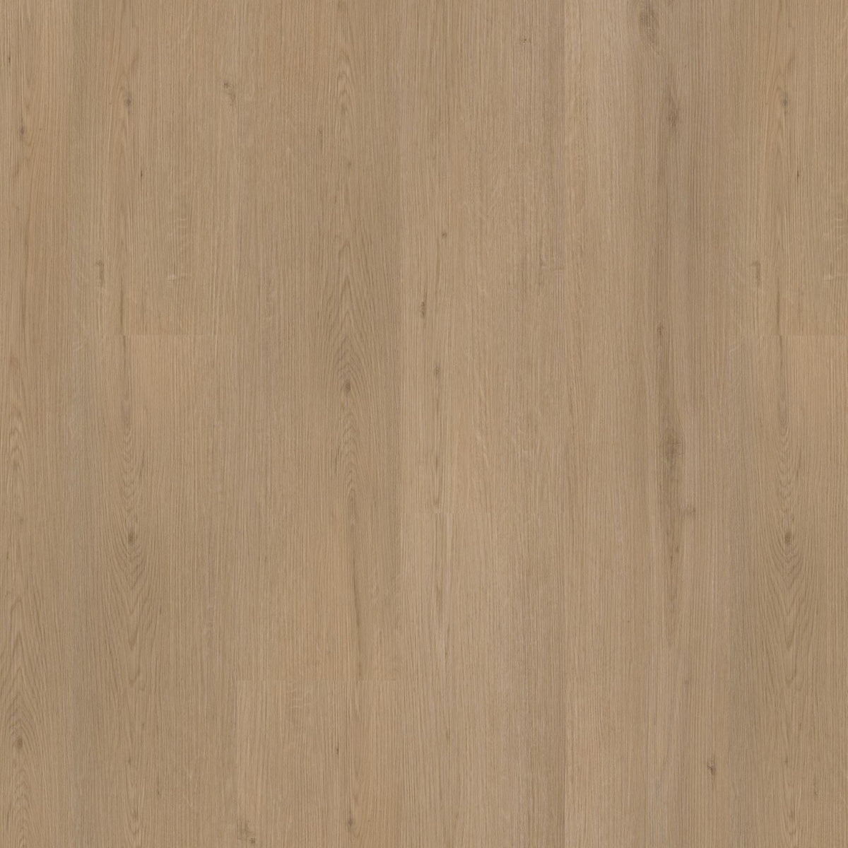 Venera – PVC Click