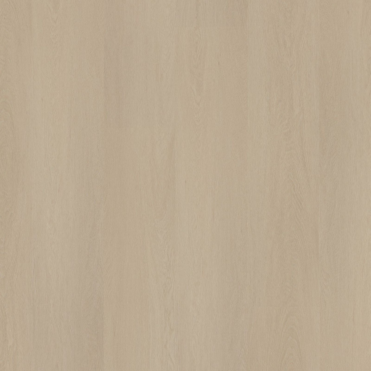 Estino – PVC Dryback