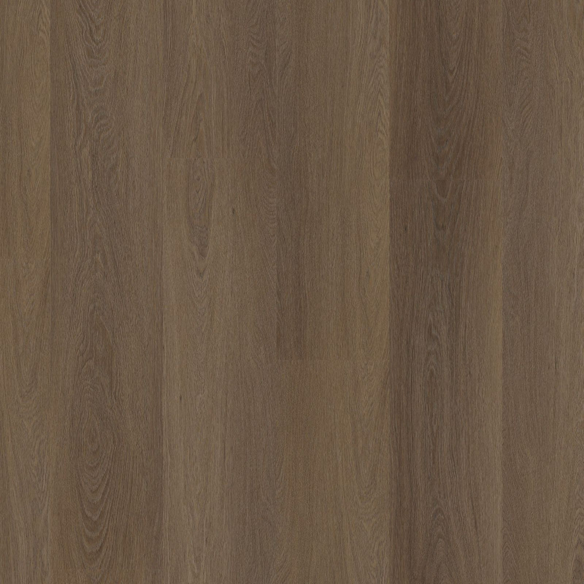 Estino – PVC Dryback