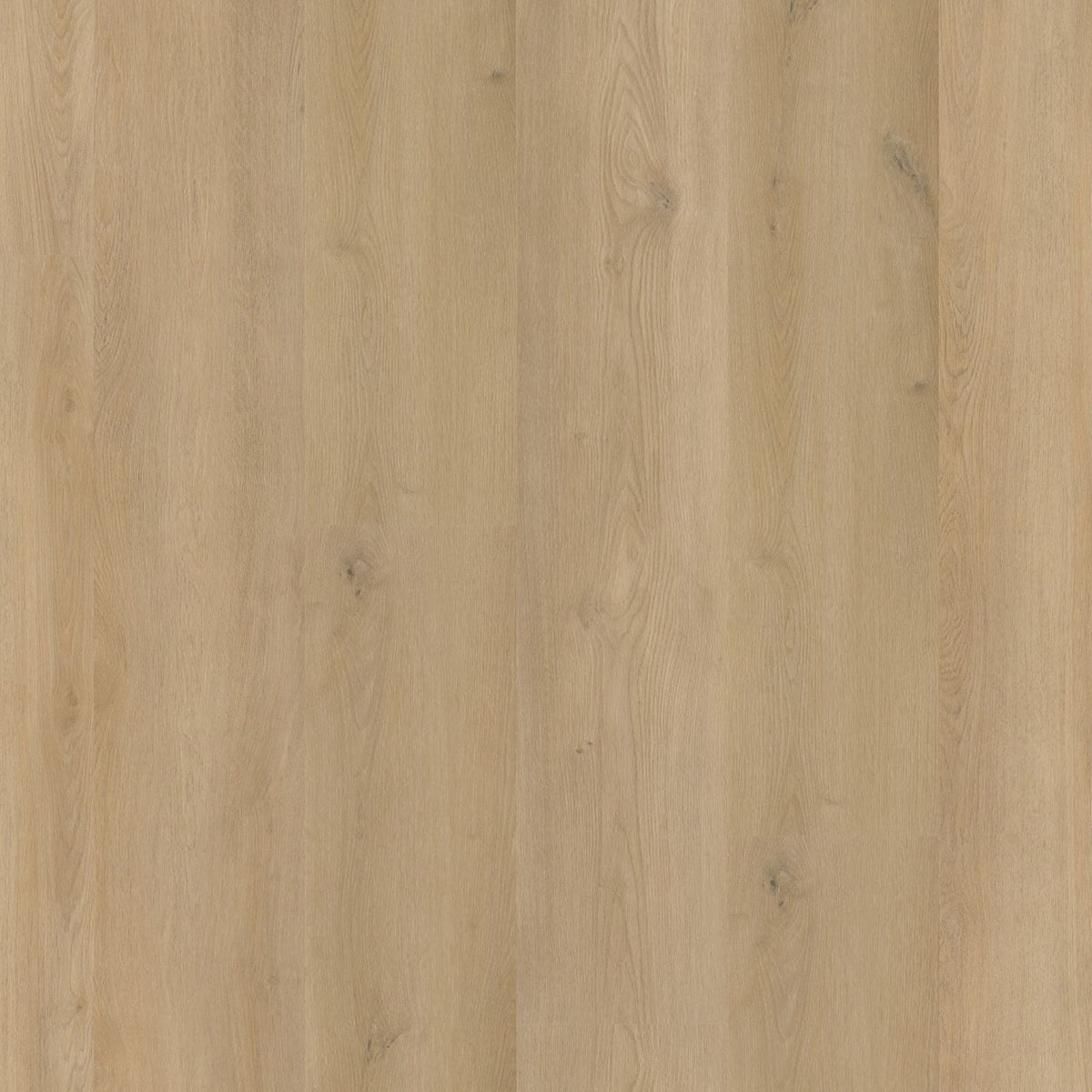 Espero – PVC Dryback