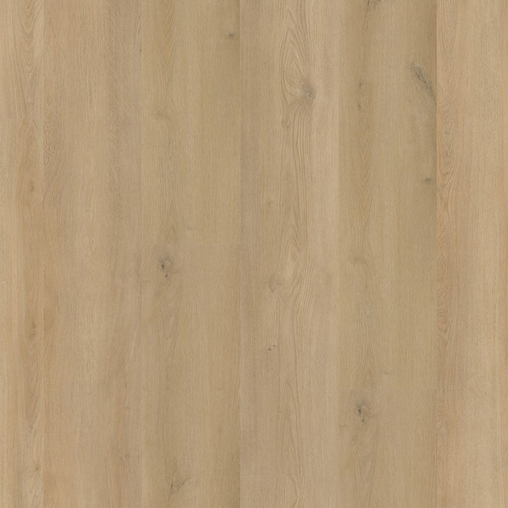 Espero – PVC Dryback