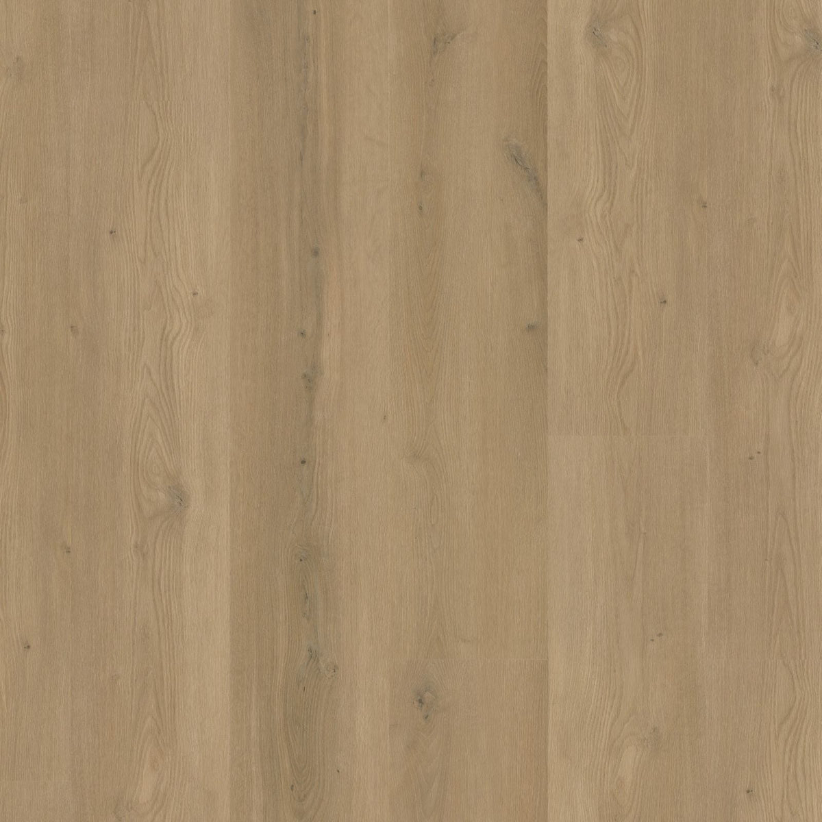 Espero – PVC Dryback