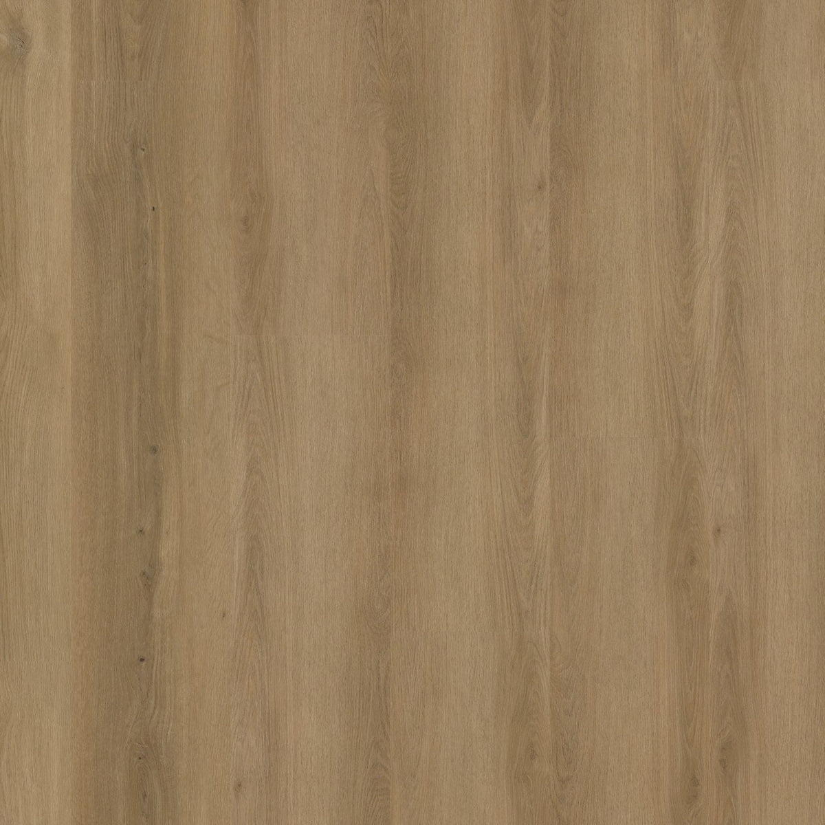 Espero – PVC Dryback