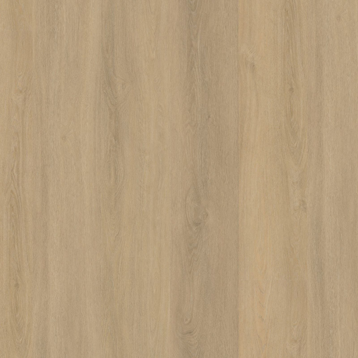 Viranto – PVC Dryback