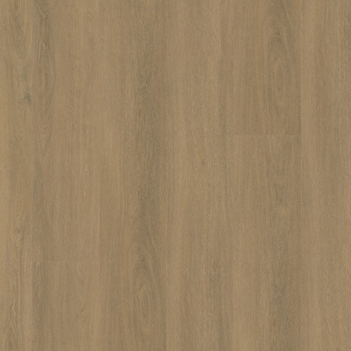 Viranto 10dB – PVC Dryback