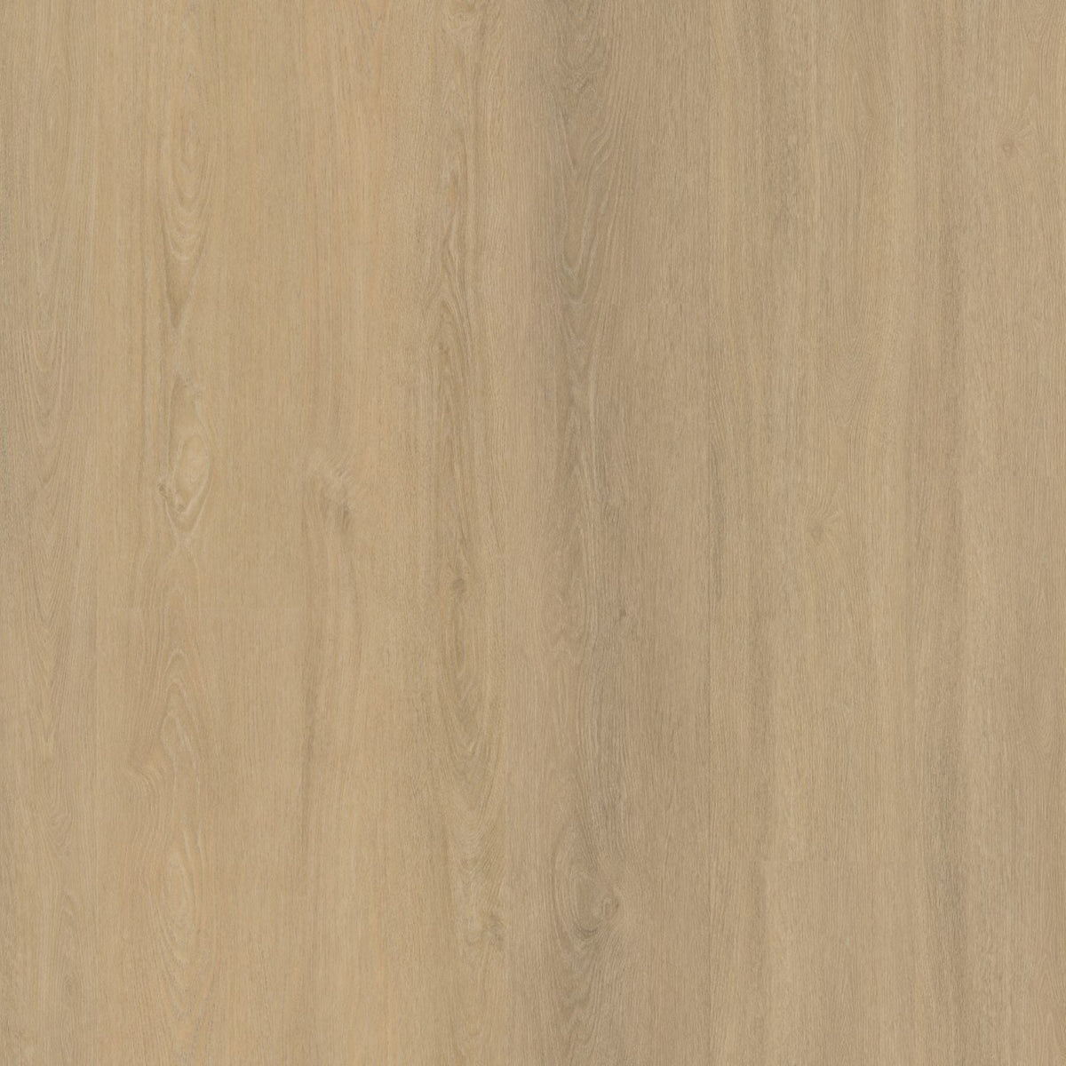 Viranto 10dB – PVC Dryback