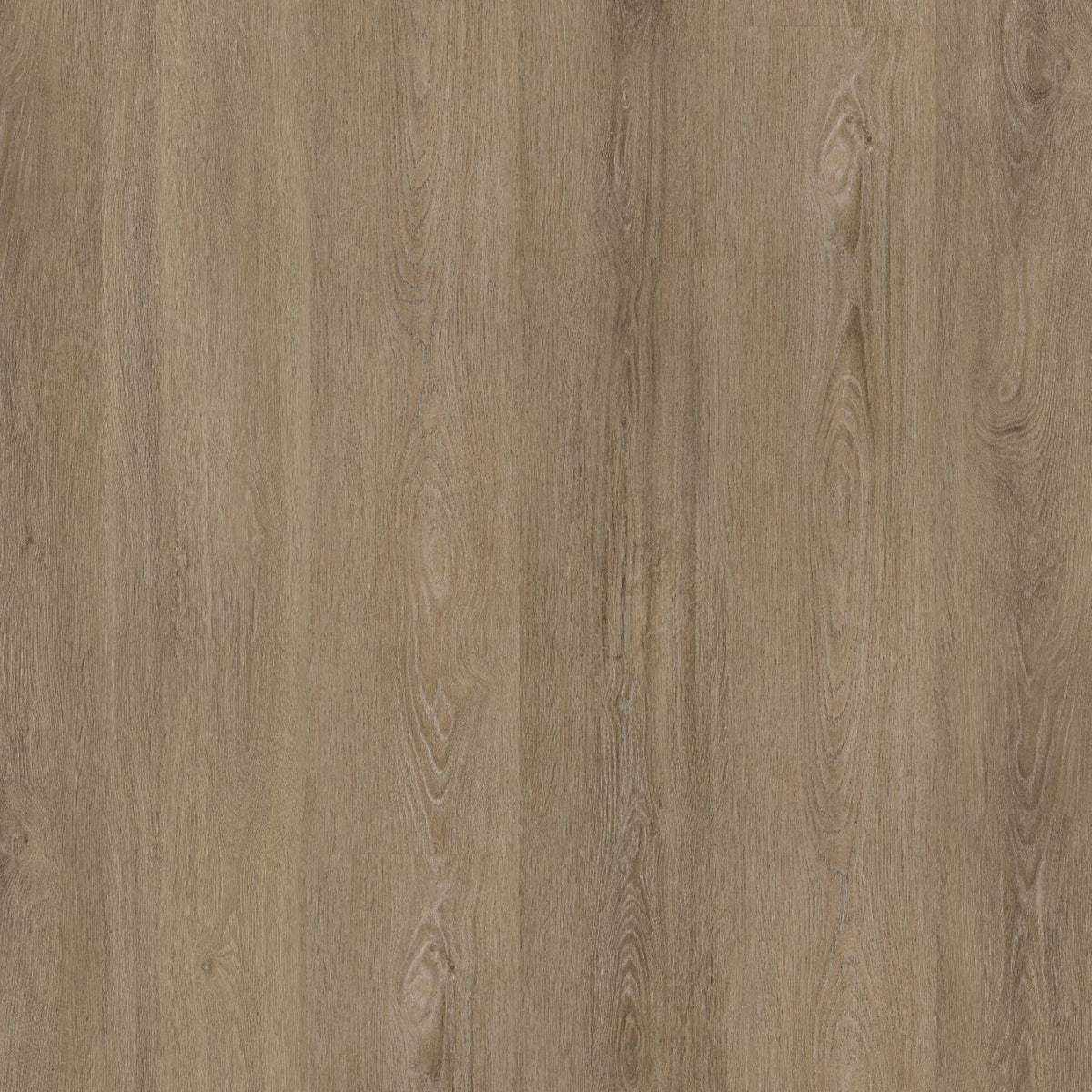 Viranto 10dB – PVC Dryback
