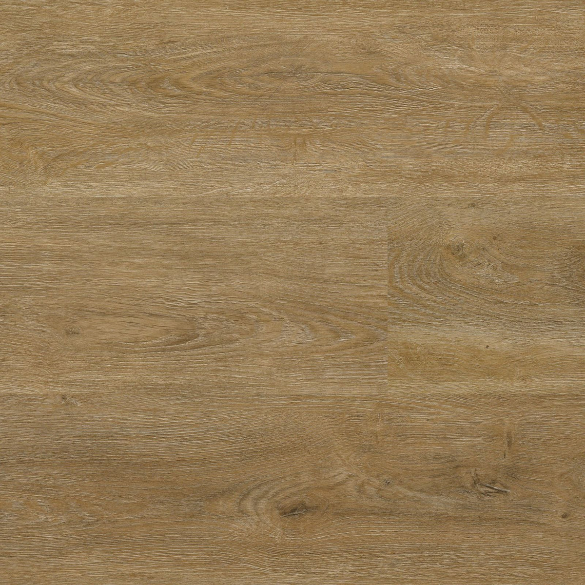 Robusto – PVC Dryback