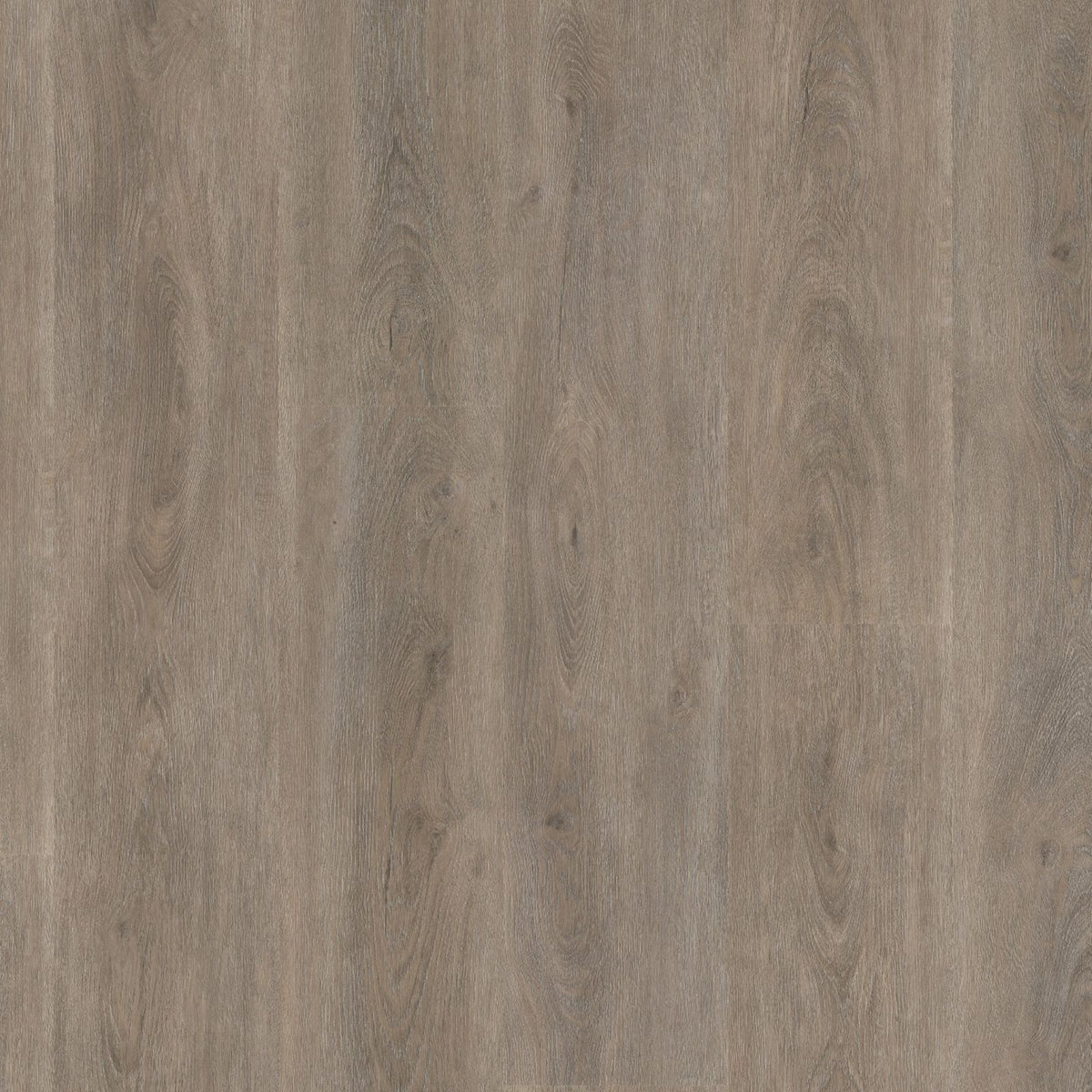 Robusto – PVC Dryback