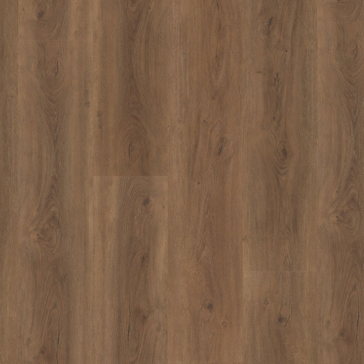 Robusto – PVC Dryback