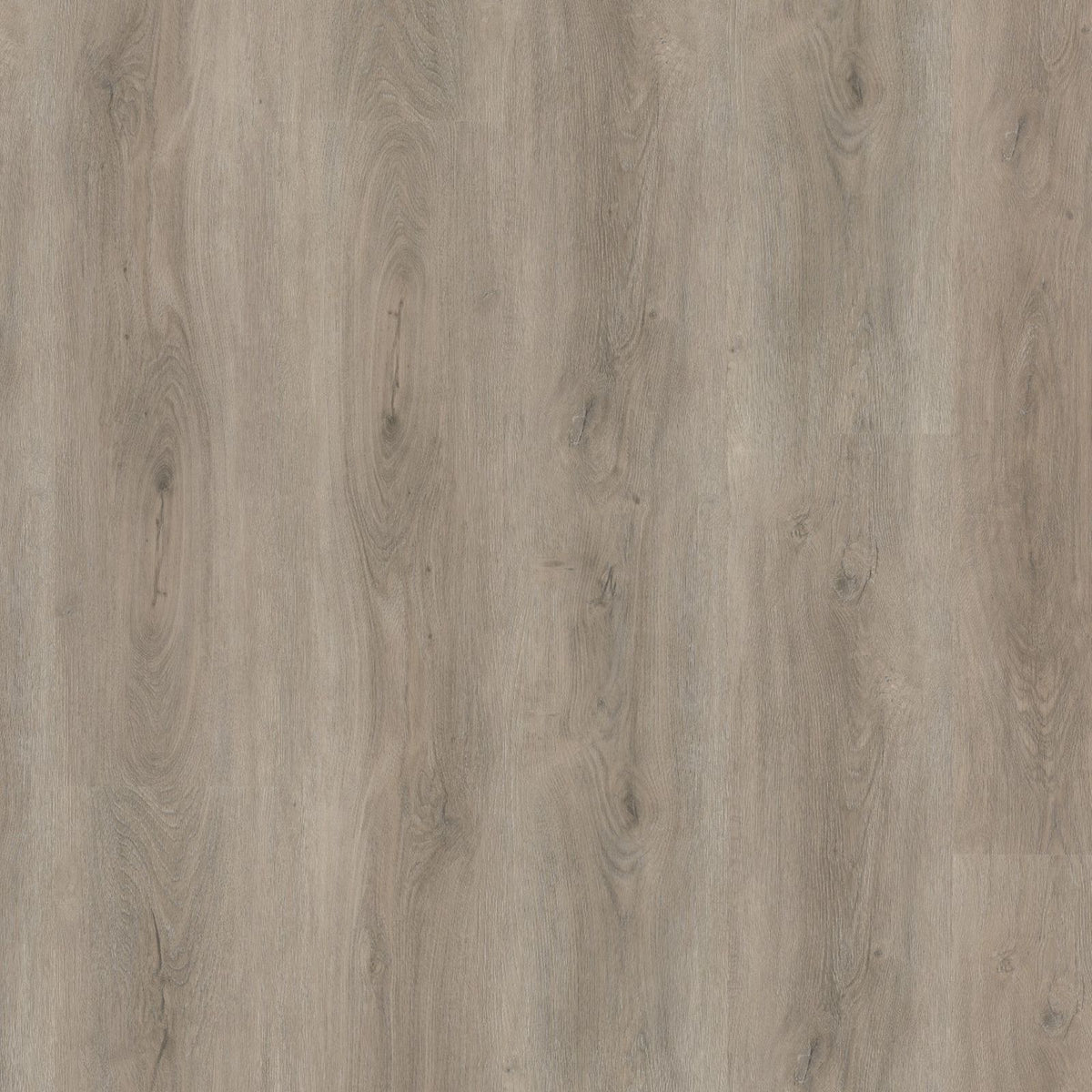 Robusto – PVC Dryback