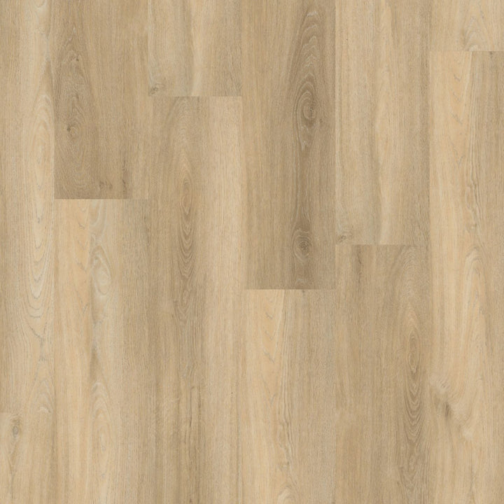 Avanto – PVC Dryback