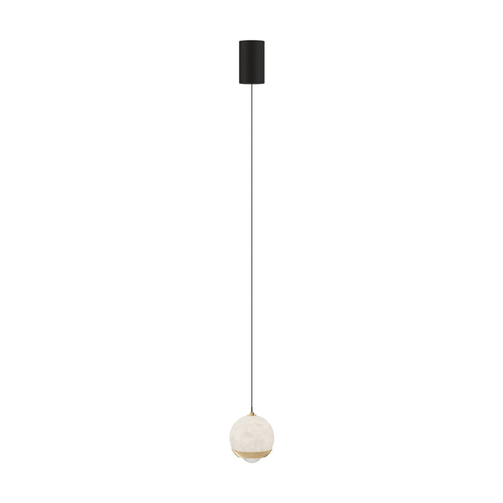 Holt hanglamp