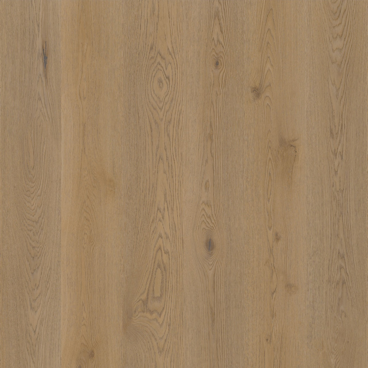 Therdex Authentic planken – PVC Dryback 15063
