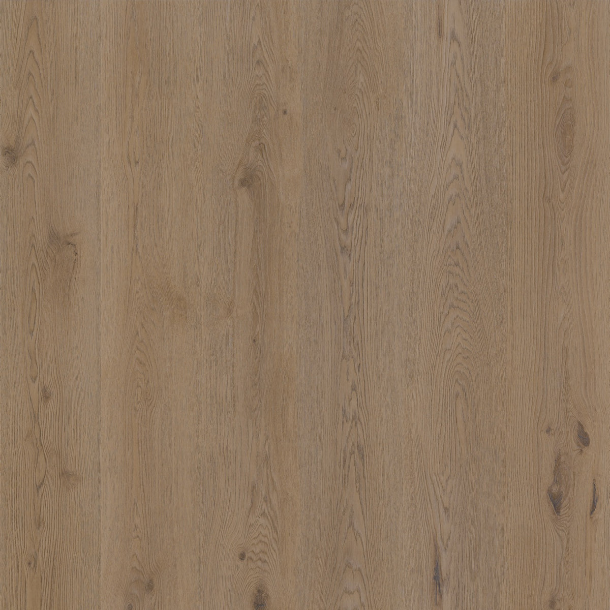 Therdex Authentic planken – PVC Dryback 15064
